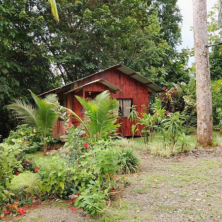 Citronela Lodge Corcovado Drakes Bay Екстериор снимка