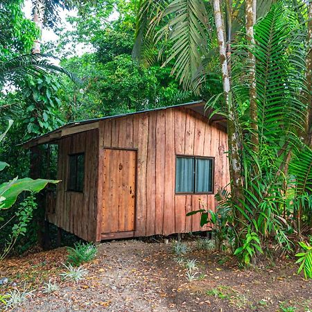Citronela Lodge Corcovado Drakes Bay Екстериор снимка