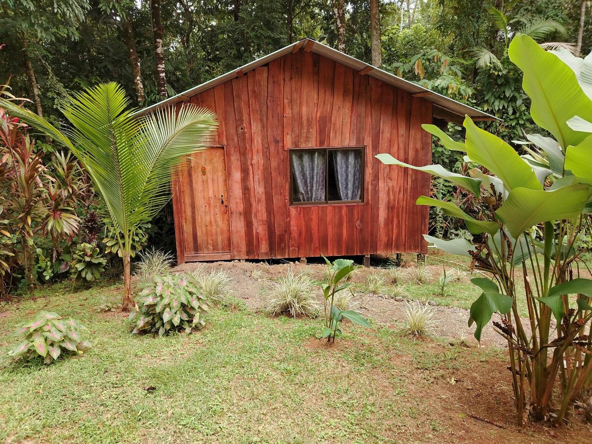 Citronela Lodge Corcovado Drakes Bay Екстериор снимка