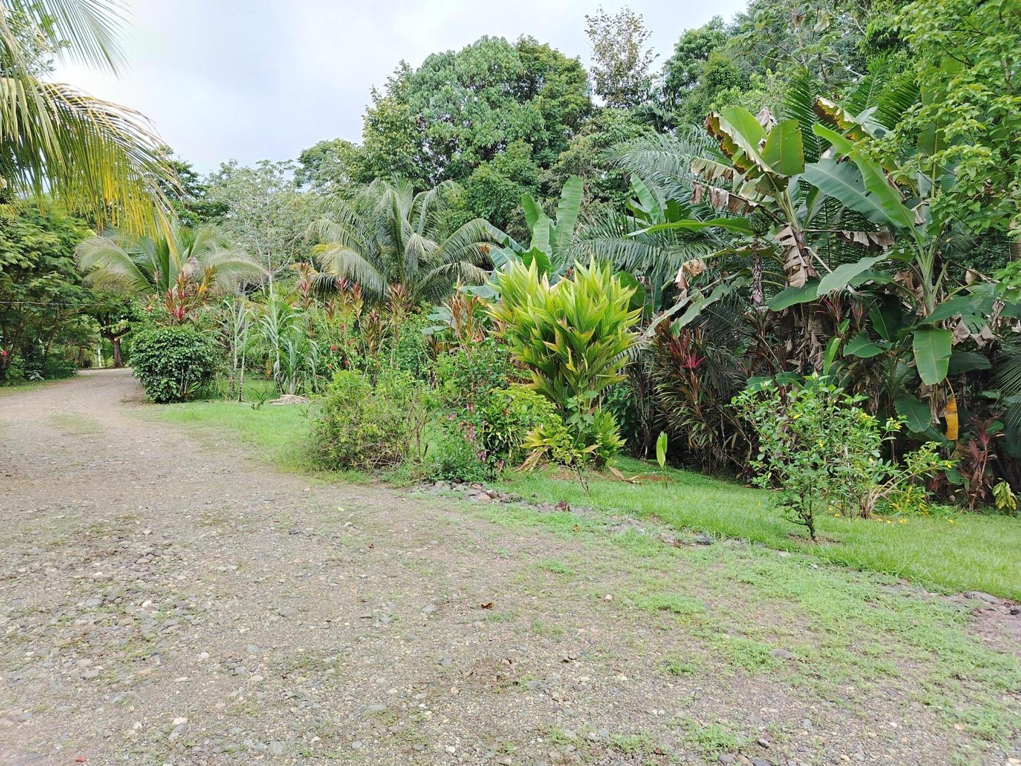 Citronela Lodge Corcovado Drakes Bay Екстериор снимка