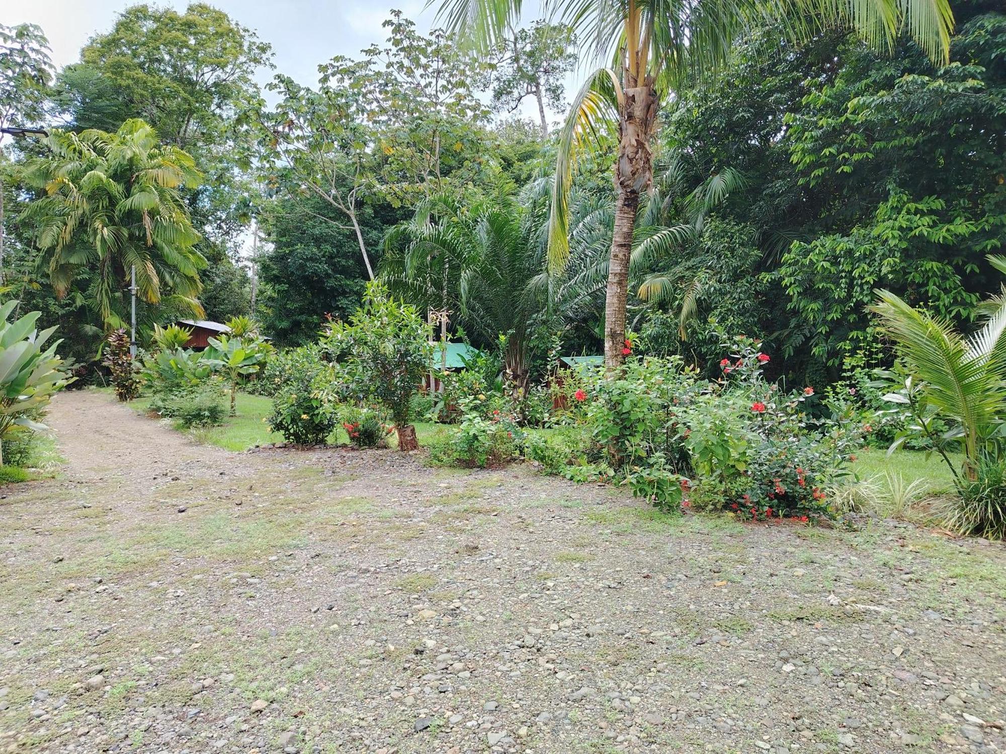 Citronela Lodge Corcovado Drakes Bay Екстериор снимка