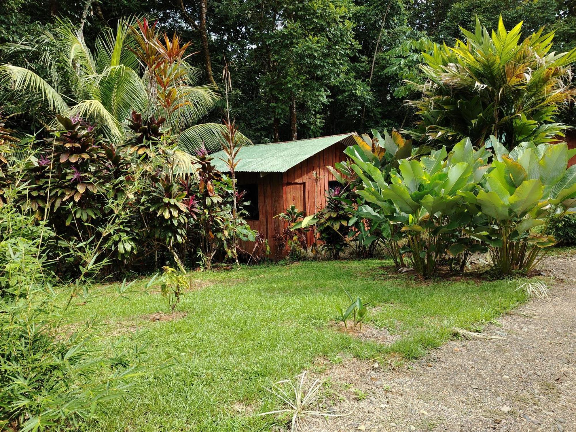 Citronela Lodge Corcovado Drakes Bay Екстериор снимка
