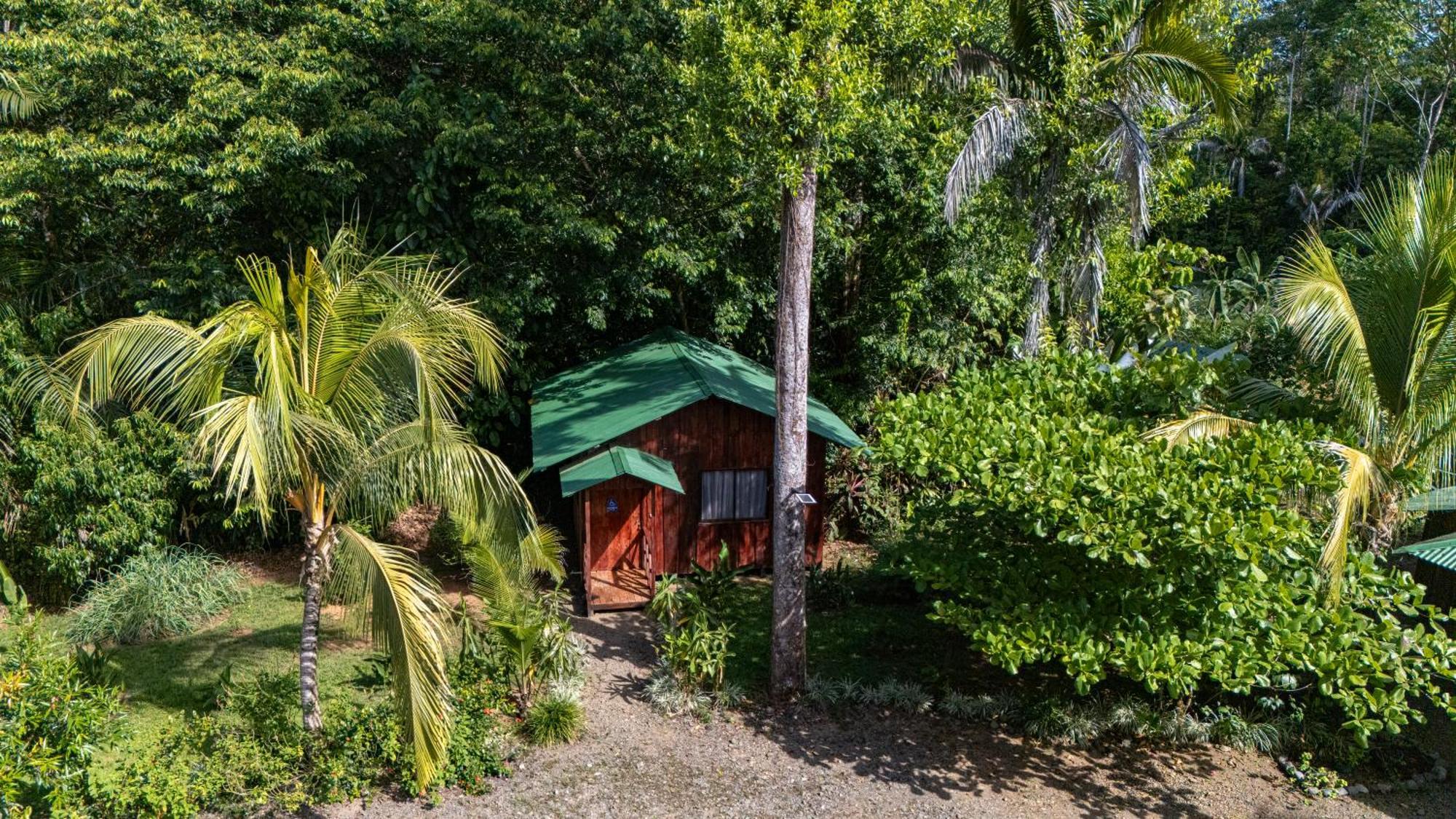 Citronela Lodge Corcovado Drakes Bay Екстериор снимка