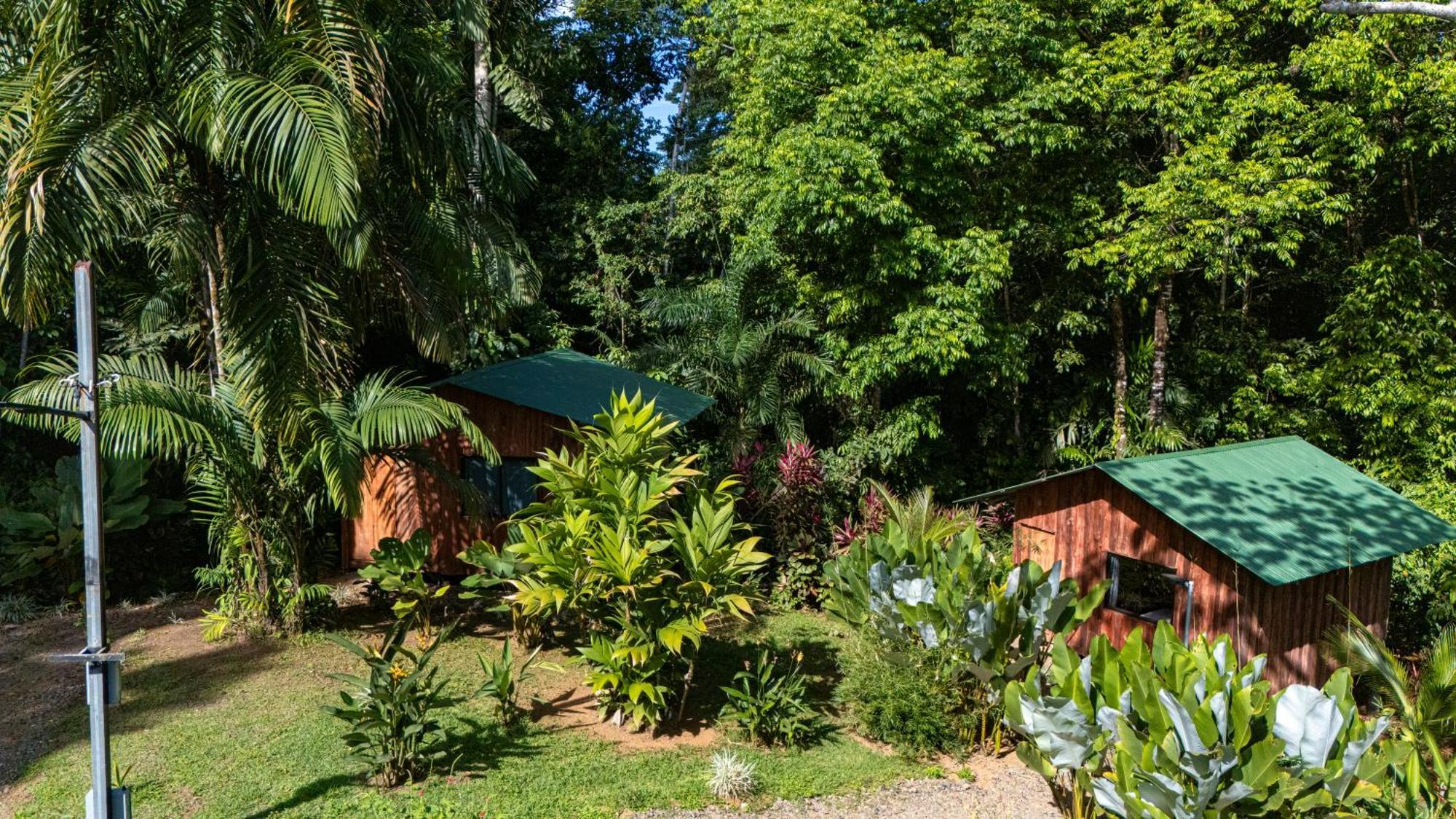 Citronela Lodge Corcovado Drakes Bay Екстериор снимка