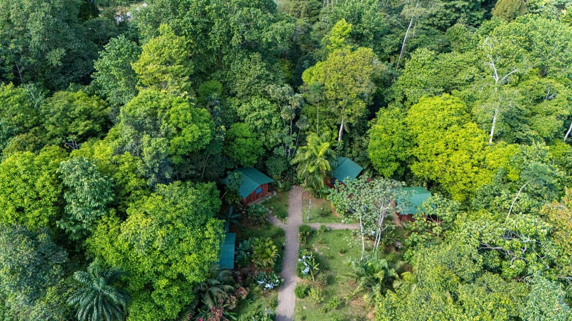 Citronela Lodge Corcovado Drakes Bay Екстериор снимка