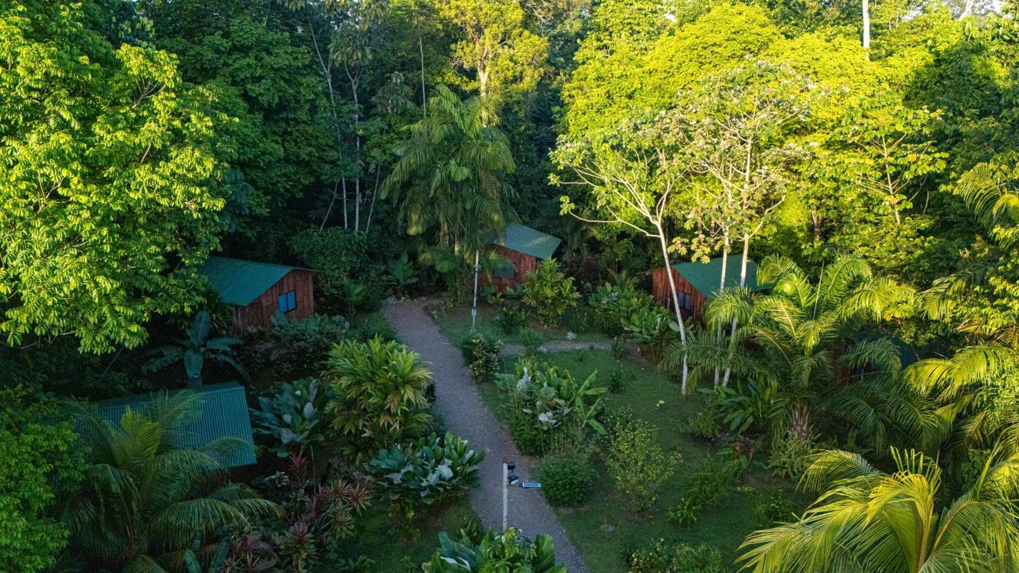 Citronela Lodge Corcovado Drakes Bay Екстериор снимка