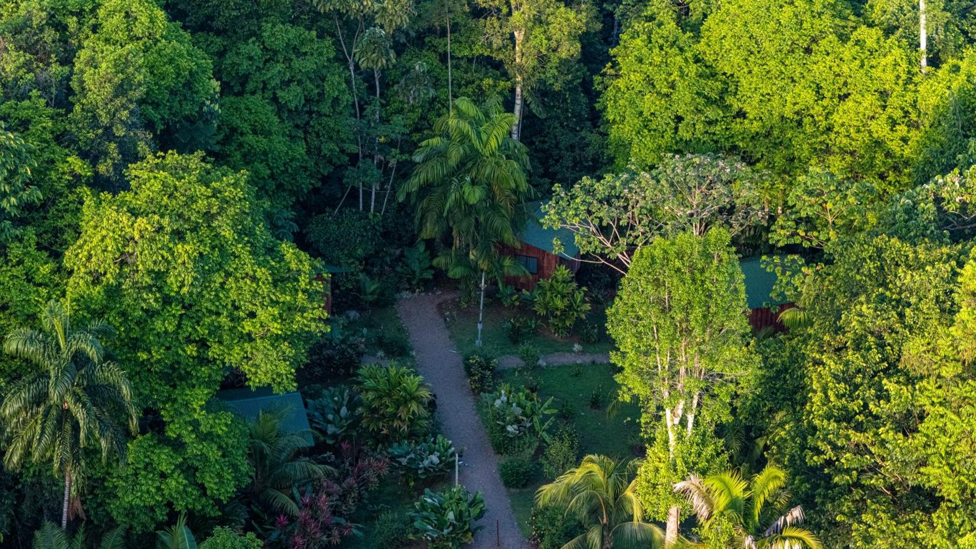 Citronela Lodge Corcovado Drakes Bay Екстериор снимка
