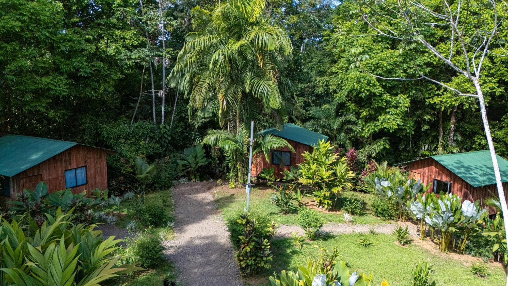 Citronela Lodge Corcovado Drakes Bay Екстериор снимка