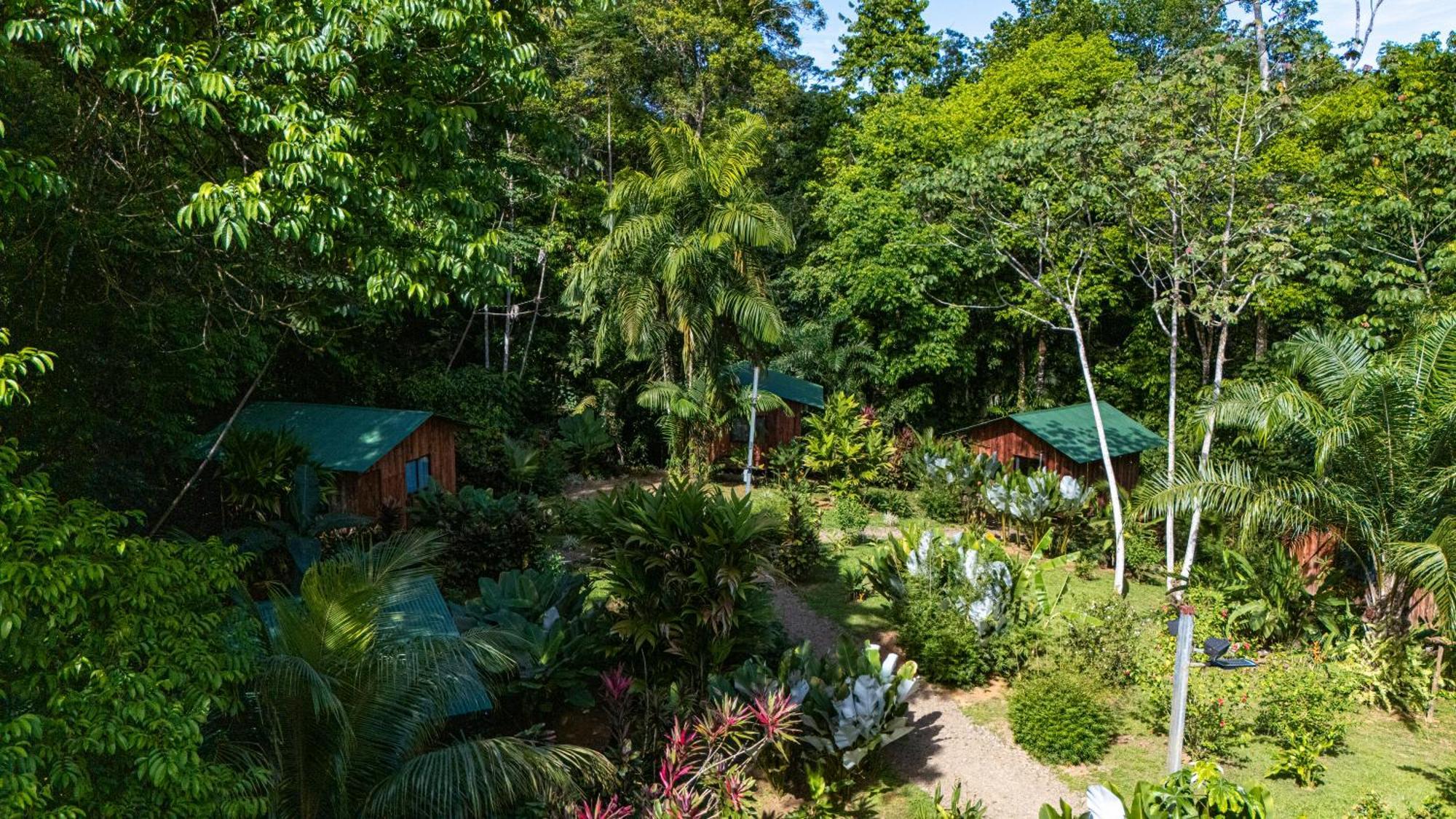 Citronela Lodge Corcovado Drakes Bay Екстериор снимка