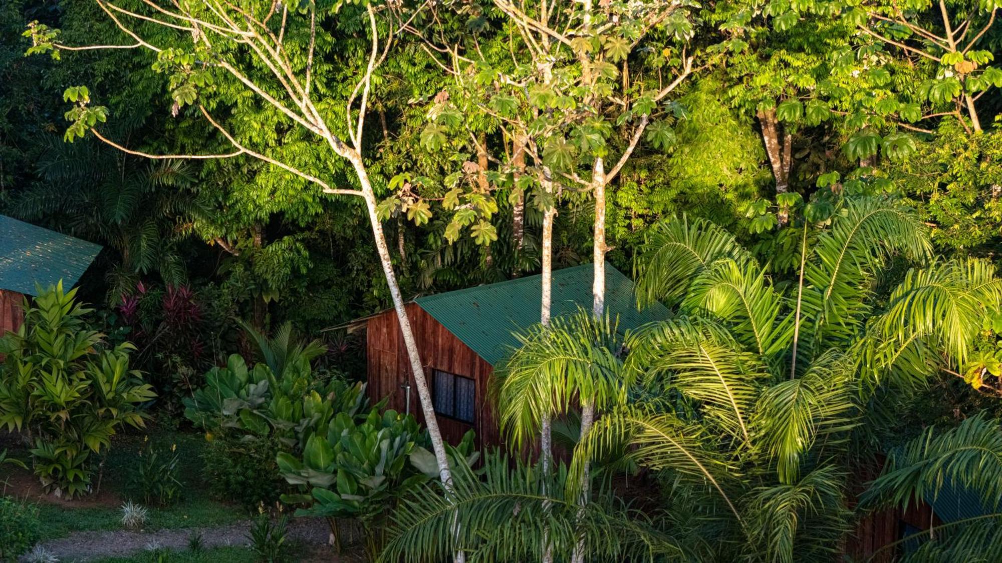 Citronela Lodge Corcovado Drakes Bay Екстериор снимка
