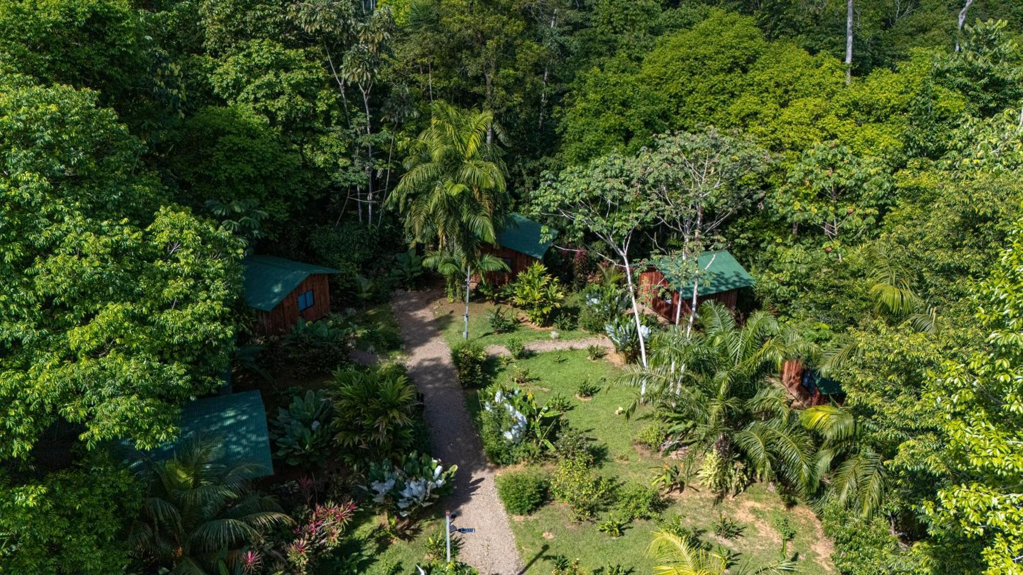 Citronela Lodge Corcovado Drakes Bay Екстериор снимка