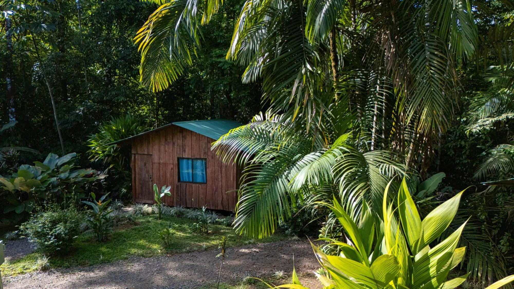 Citronela Lodge Corcovado Drakes Bay Екстериор снимка
