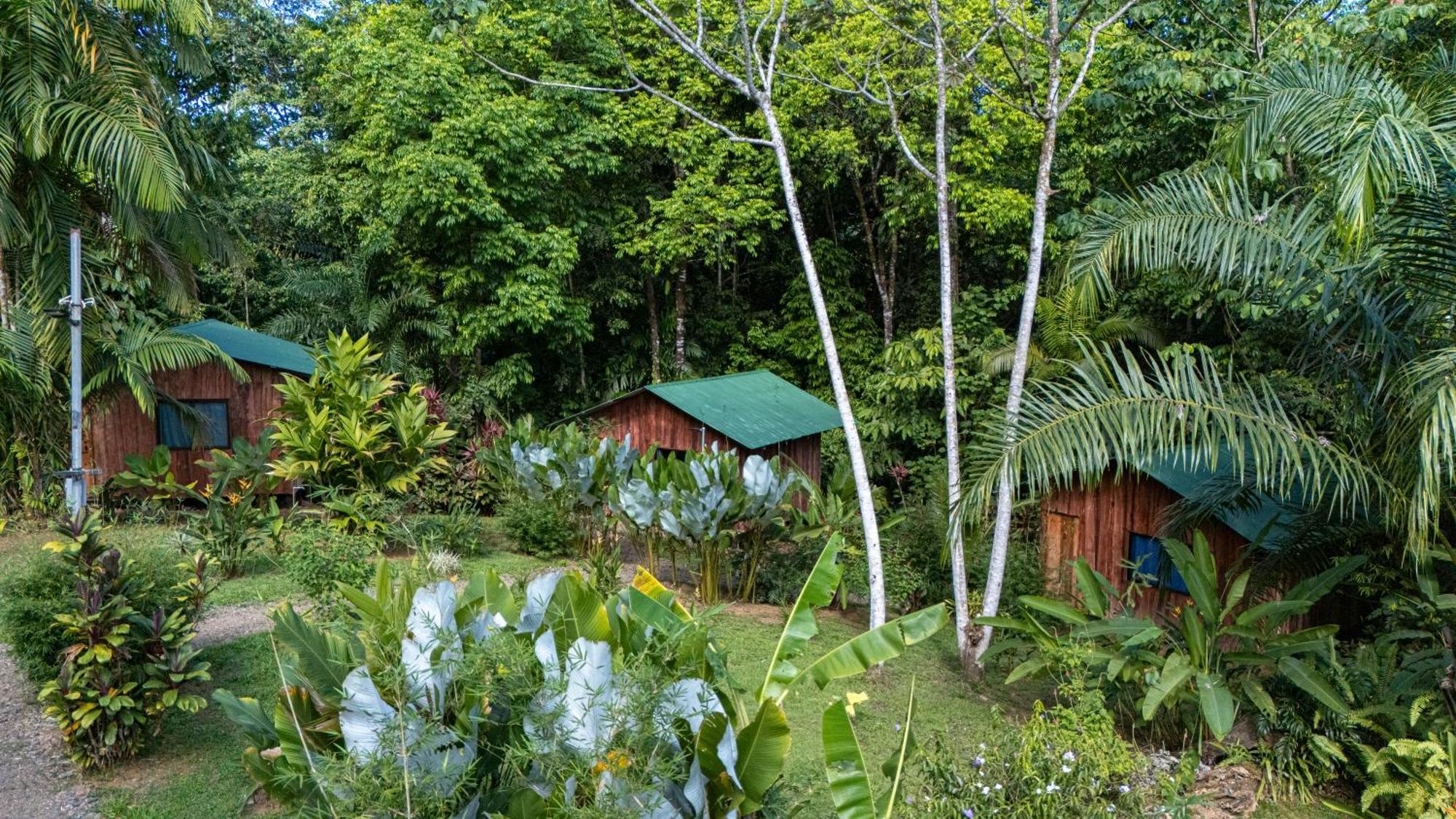 Citronela Lodge Corcovado Drakes Bay Екстериор снимка