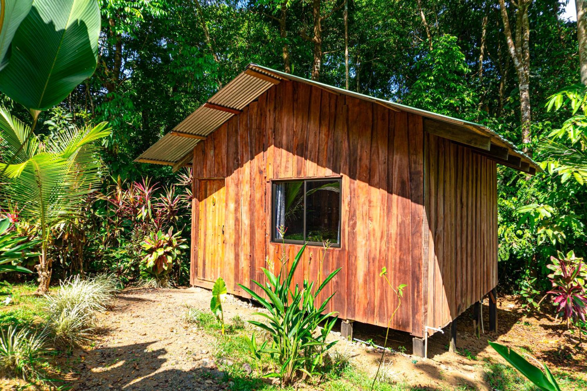 Citronela Lodge Corcovado Drakes Bay Екстериор снимка
