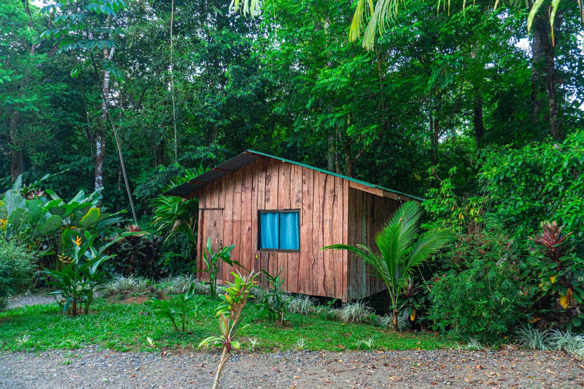 Citronela Lodge Corcovado Drakes Bay Екстериор снимка