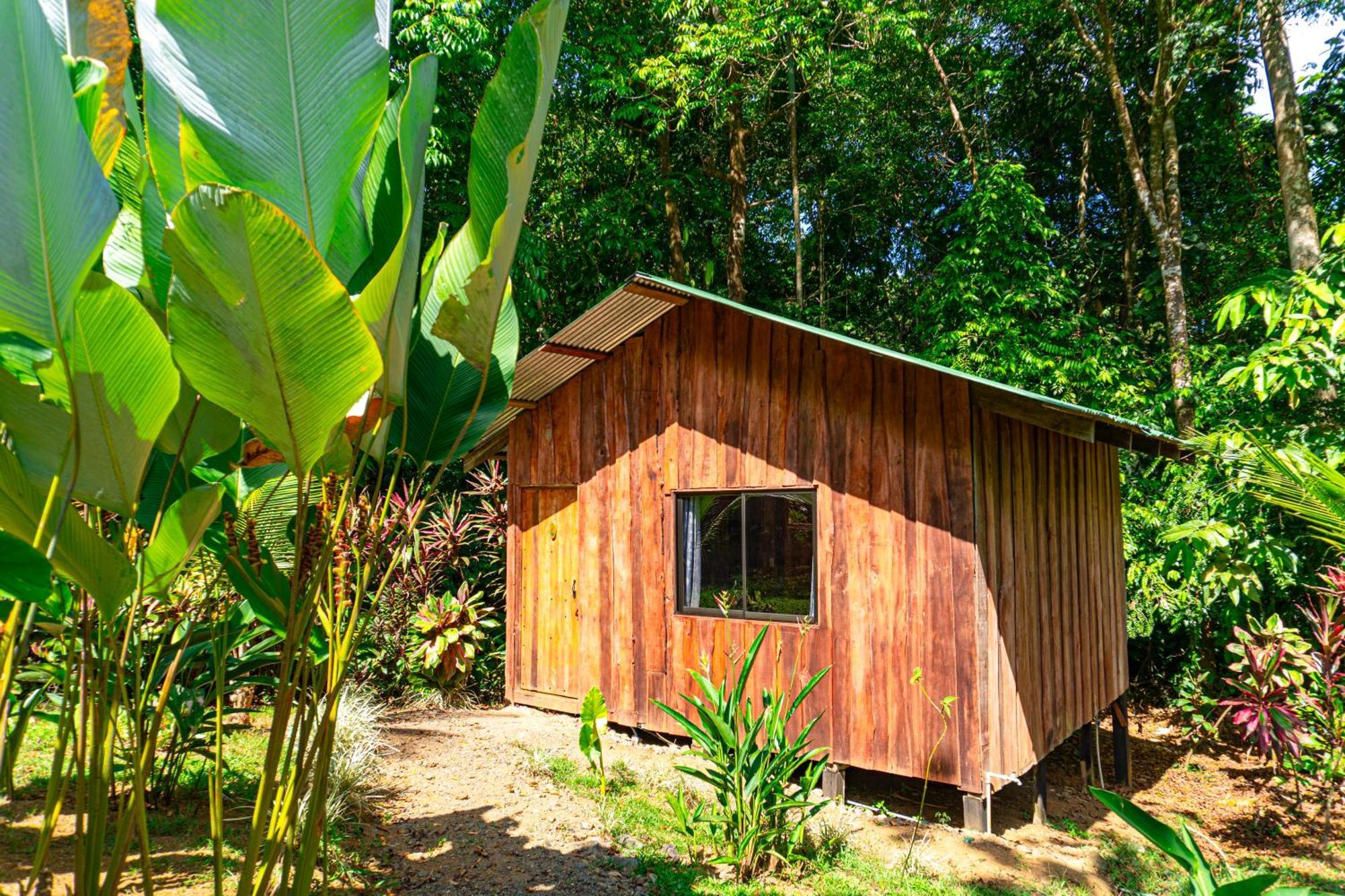 Citronela Lodge Corcovado Drakes Bay Екстериор снимка