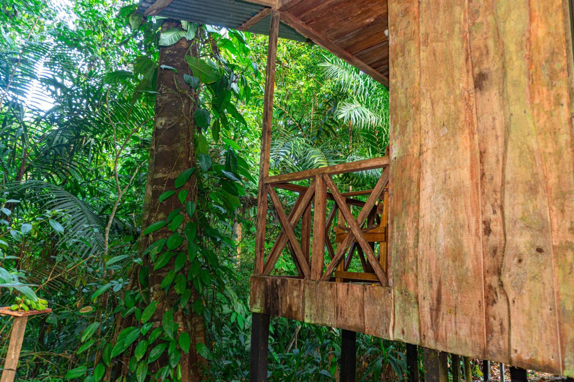 Citronela Lodge Corcovado Drakes Bay Екстериор снимка