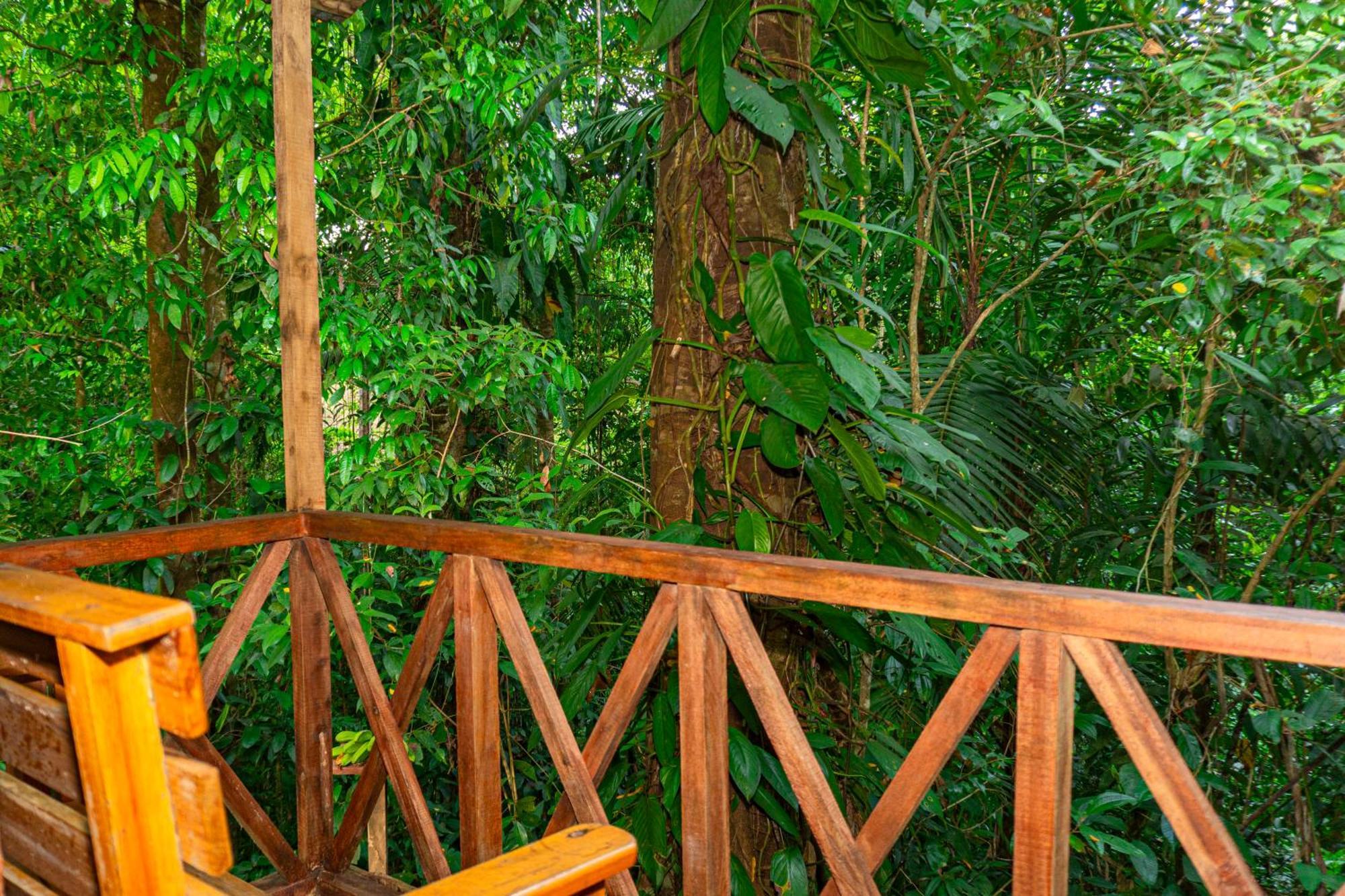 Citronela Lodge Corcovado Drakes Bay Екстериор снимка