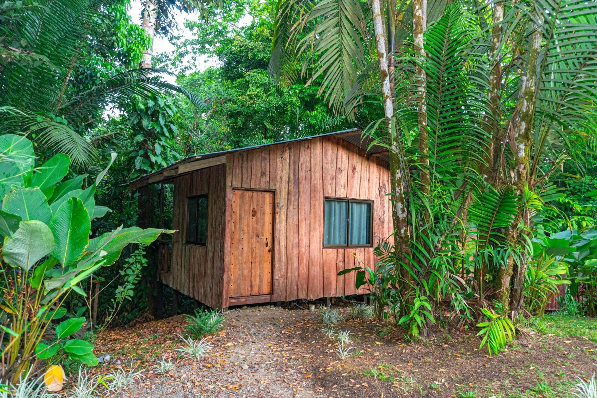Citronela Lodge Corcovado Drakes Bay Екстериор снимка