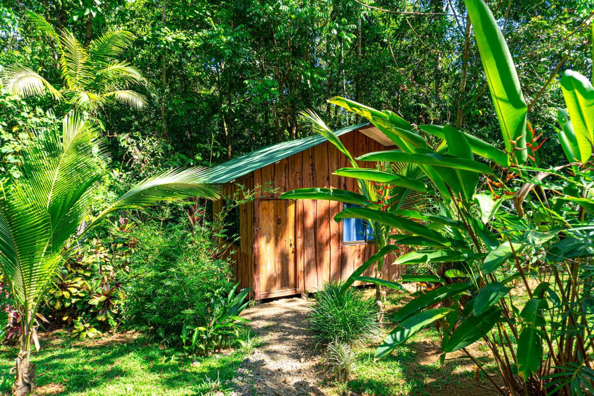 Citronela Lodge Corcovado Drakes Bay Екстериор снимка