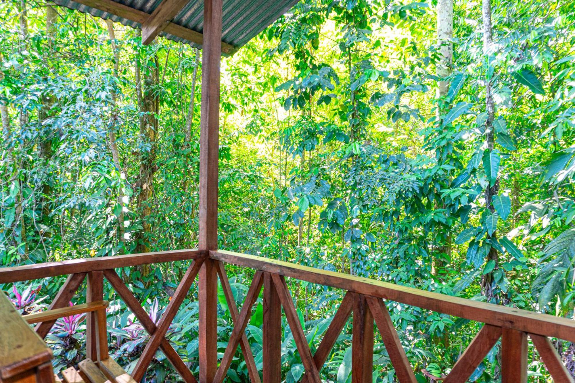 Citronela Lodge Corcovado Drakes Bay Екстериор снимка