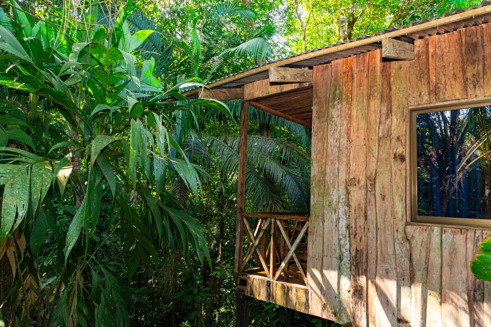 Citronela Lodge Corcovado Drakes Bay Екстериор снимка