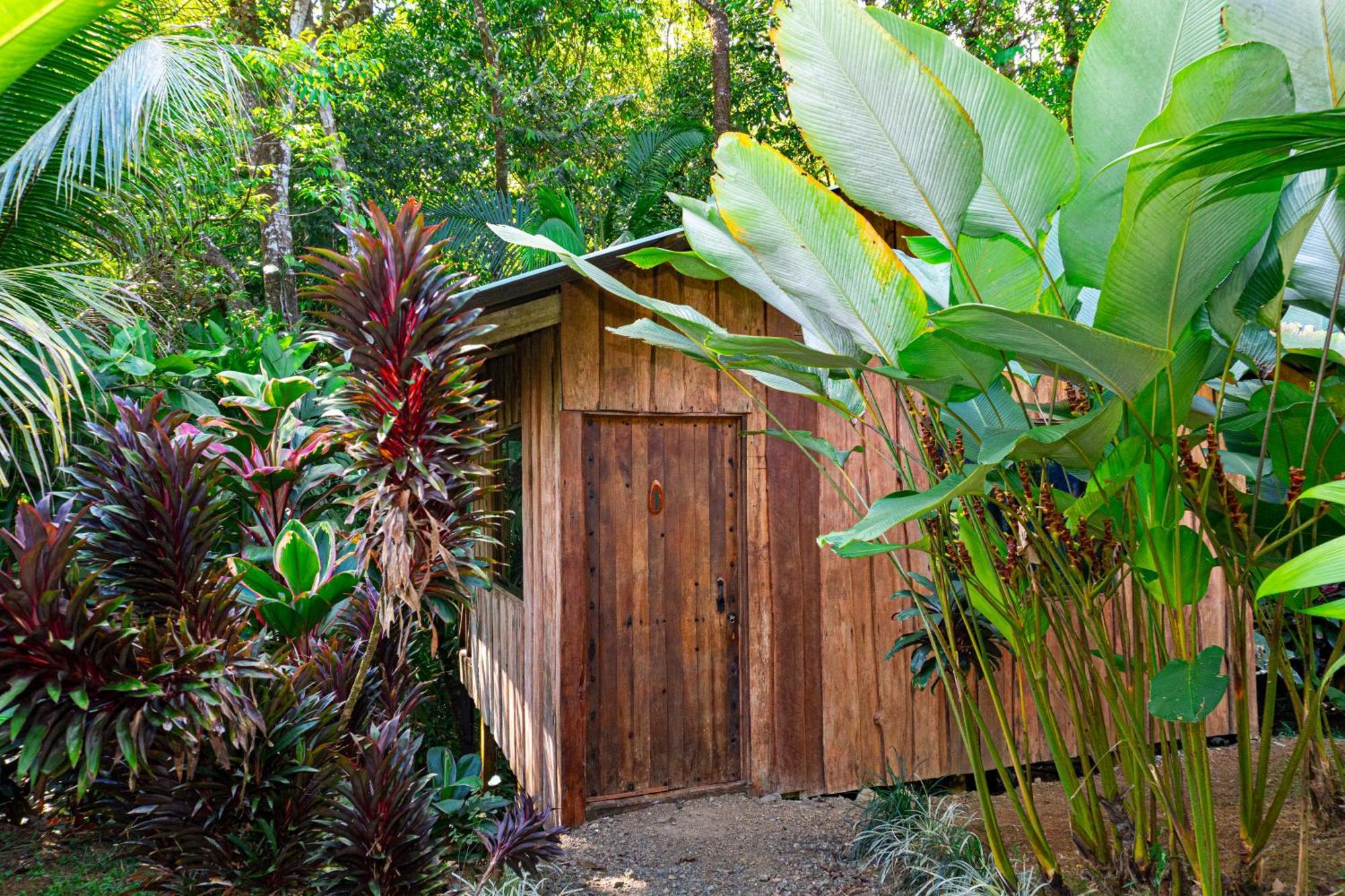 Citronela Lodge Corcovado Drakes Bay Екстериор снимка