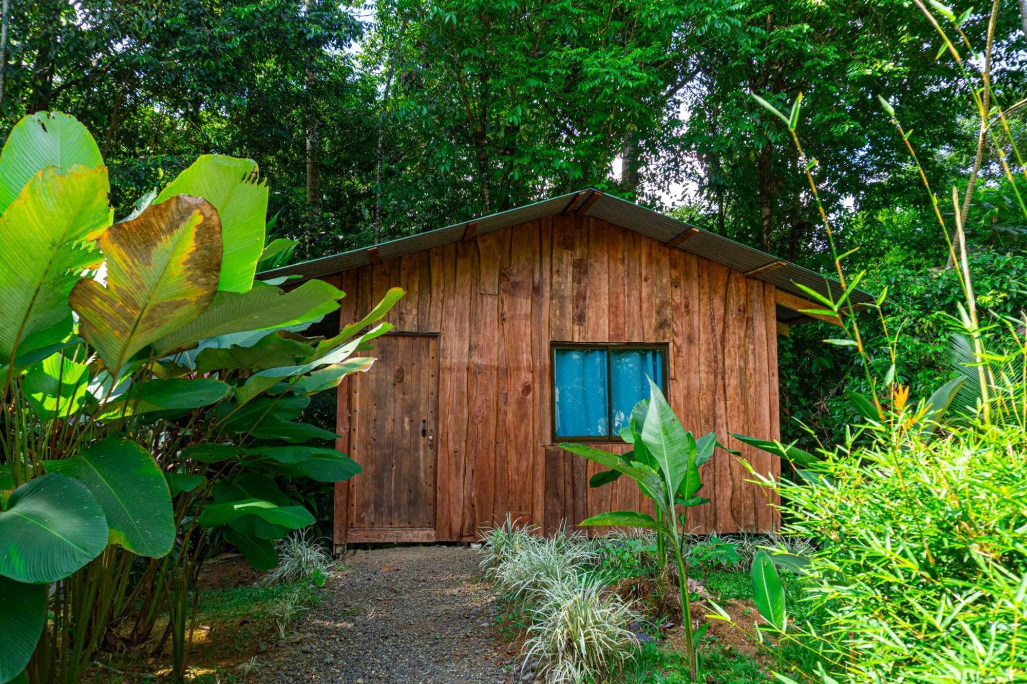 Citronela Lodge Corcovado Drakes Bay Екстериор снимка