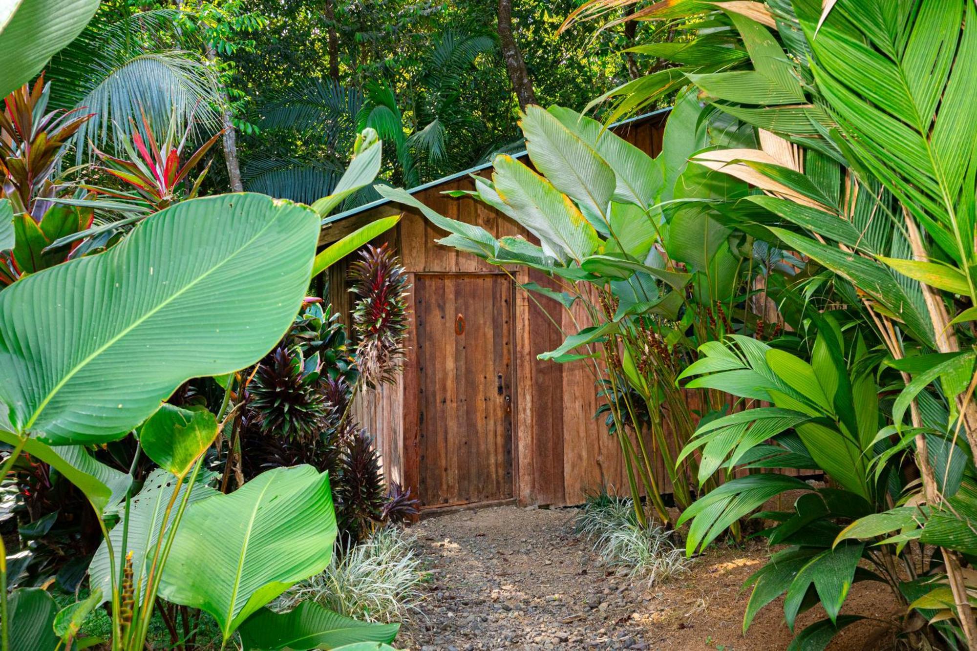 Citronela Lodge Corcovado Drakes Bay Екстериор снимка