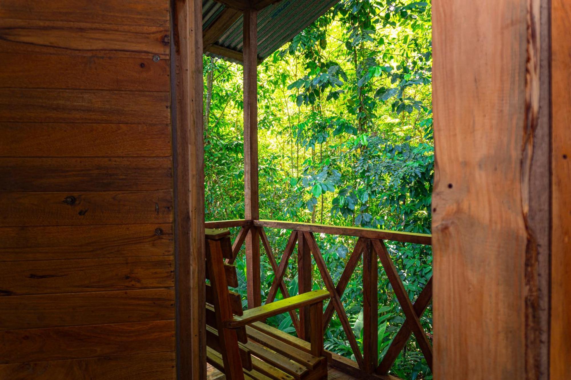 Citronela Lodge Corcovado Drakes Bay Екстериор снимка
