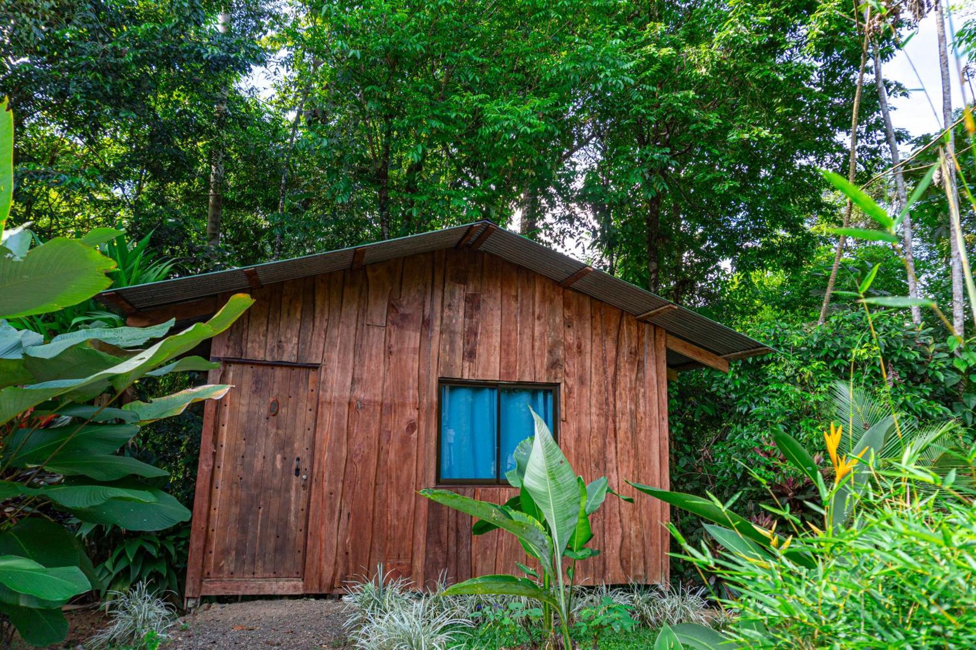 Citronela Lodge Corcovado Drakes Bay Екстериор снимка